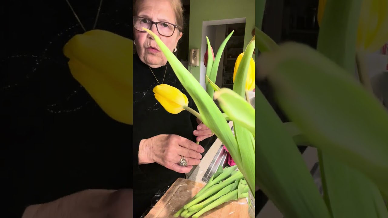 How to keep your tulips fresh for 20 days