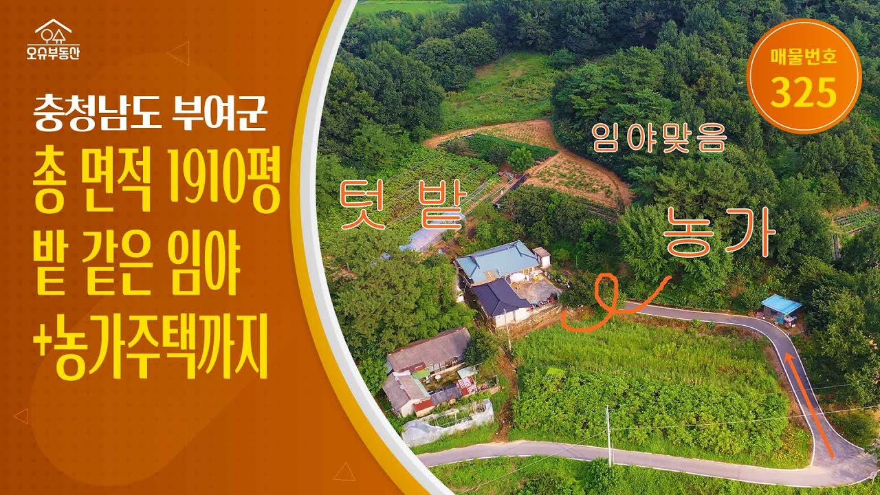 **매매가 1억7천** 충남 부여군 귀농귀촌 오슈부동산 시골촌빈집 별장 주말농장 농가주택 매매