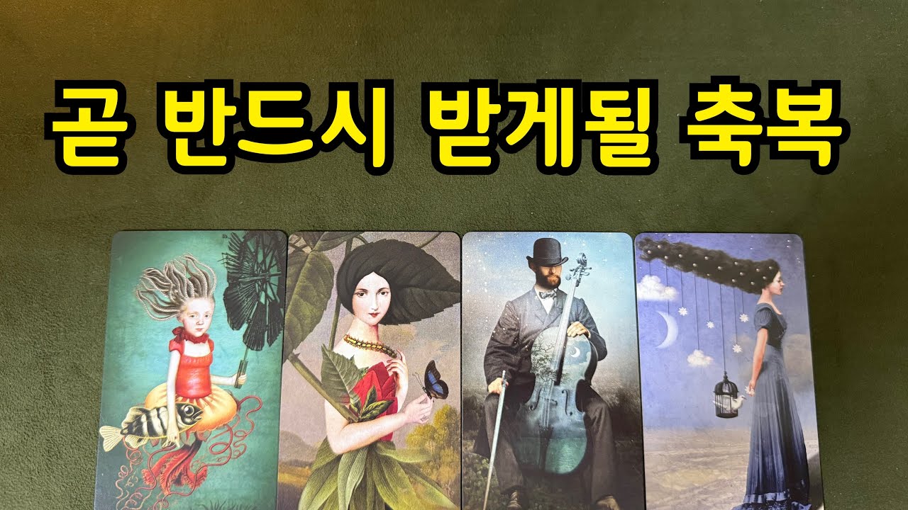 타로-곧 반드시 받게될 축복🧧