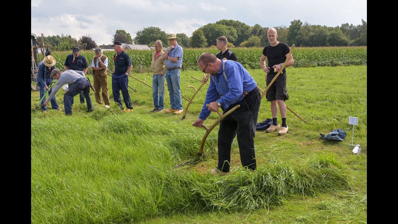 Boer'ndag met Elspeets kampioenschap maaien met de zeis
