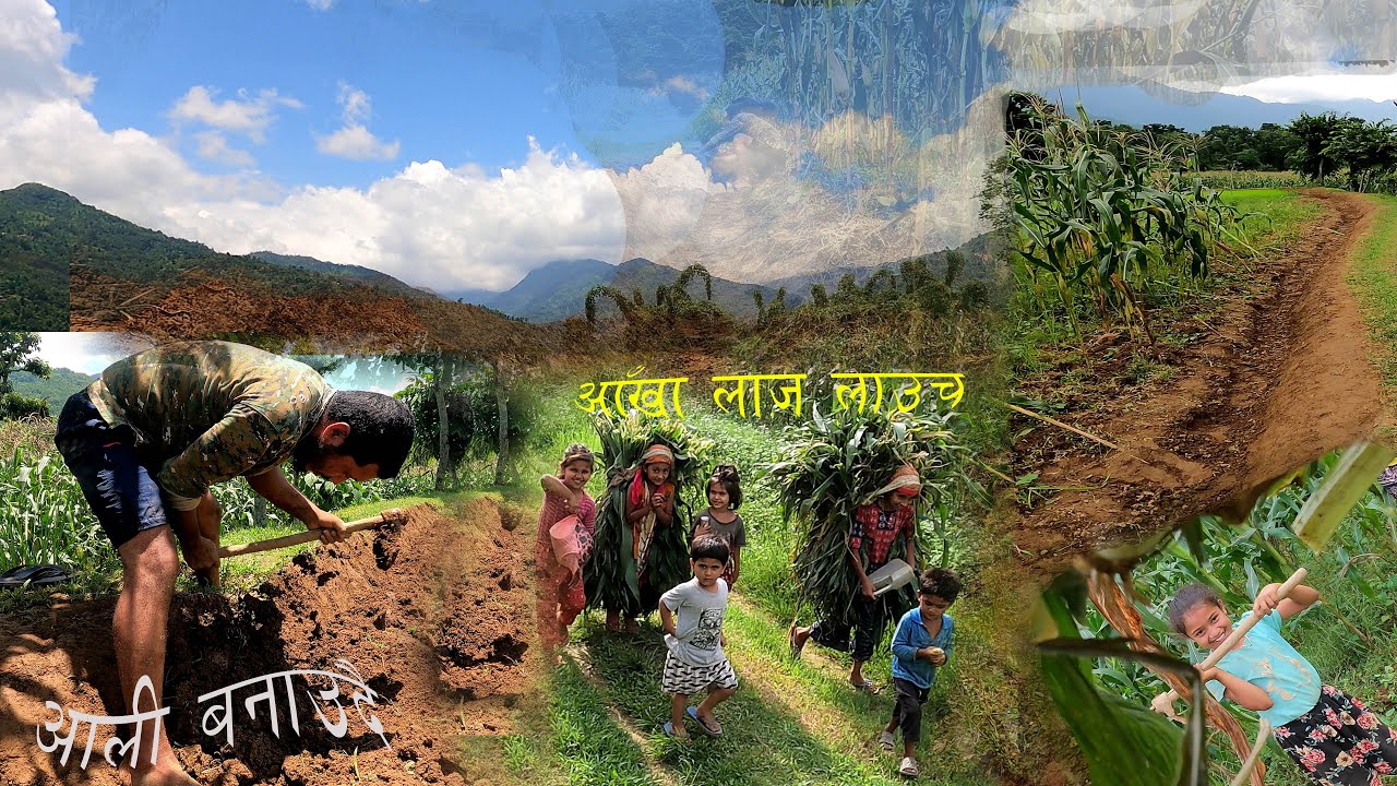 Phalewas ma aali laune tarika