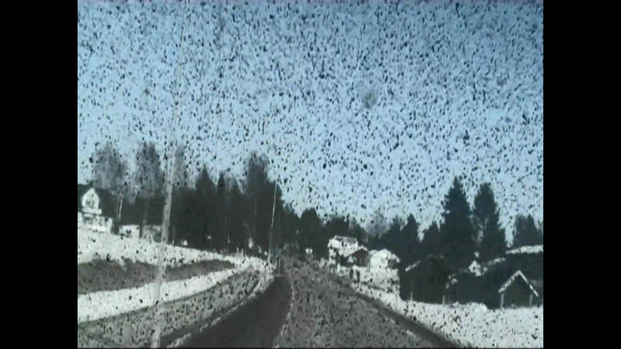 Black Moth Super Rainbow - Rollerdisco