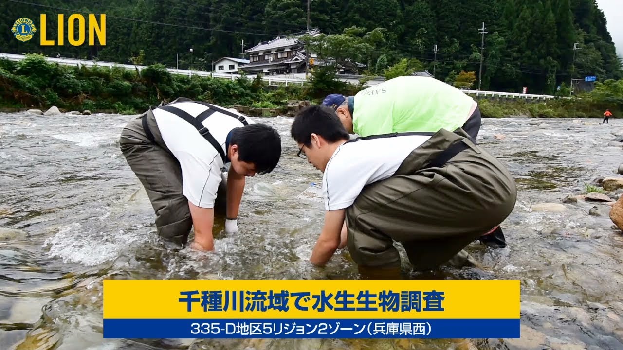 335-D地区5リジョン2ゾーン(兵庫県西) - 千種川流域で水生生物調査