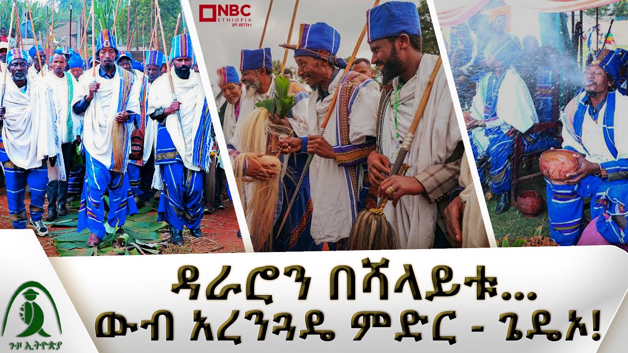 'ዳራሮ' የጌዴኦ ዘመን መለወጫ ድንቅ በዓል | አረንጓዴ ምድር  . . . | ጉዞ ኢትዮጵያ | Guzo Ethiopia | Dararo @NBCETHIOPIA