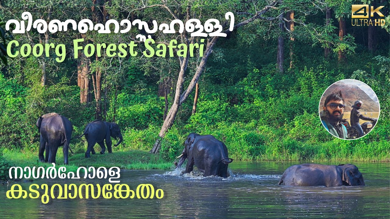 Coorg Forest | Veeranahossahalli Safari in Nagarhole Tiger Reserve.
