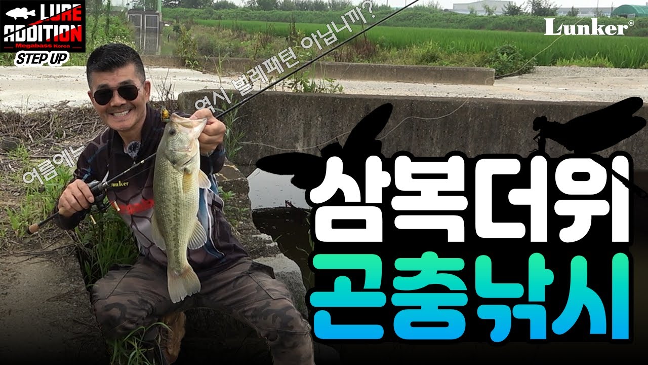 [김성남의 루어에디션 스텝업 ep.10] 김성남 스텝님의 삼복더위 곤충 루어 낚시~🦋