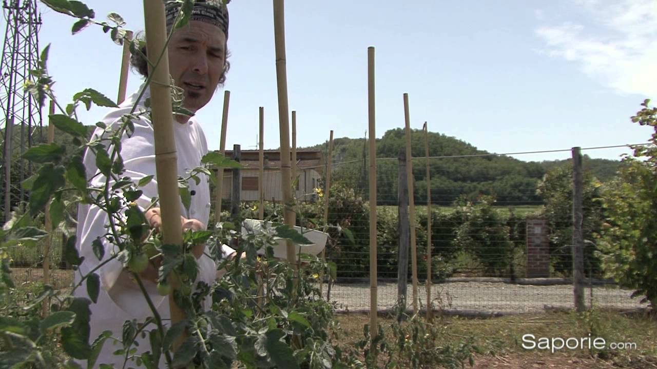 Saporie.com - Il Fiorile, Ristorante e Ospitalità