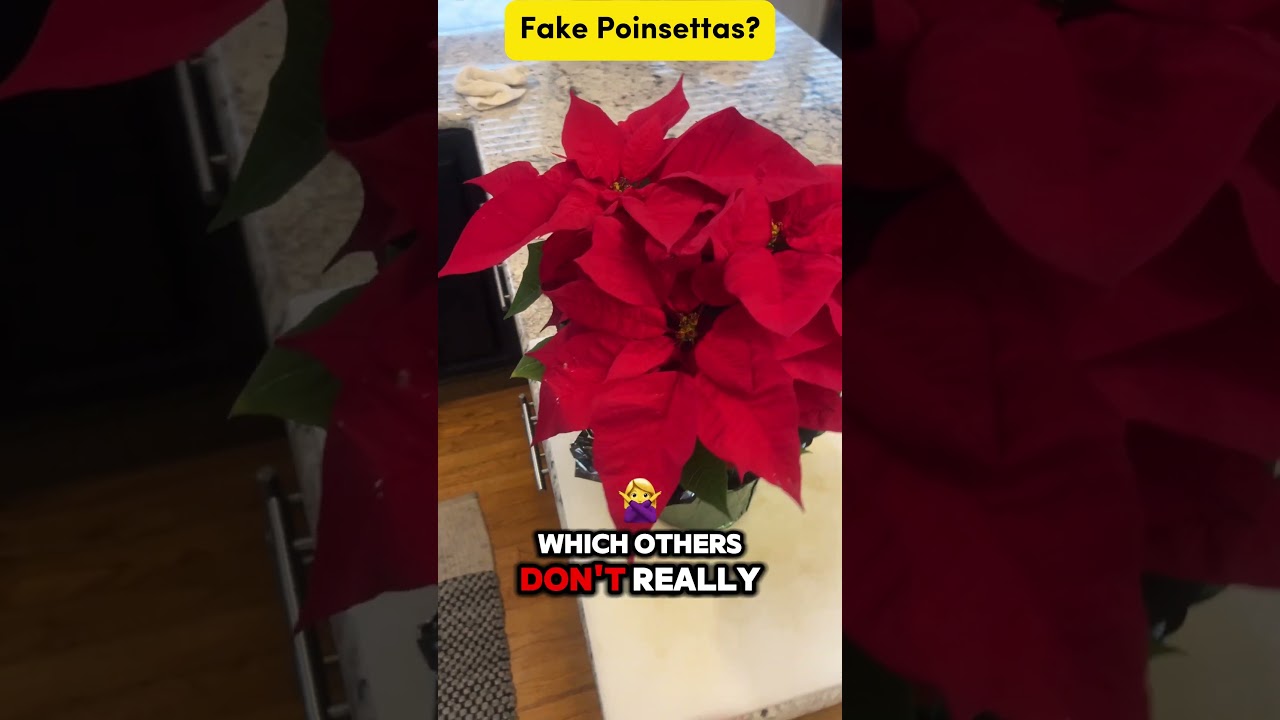 Christmas Artificial Poinsettia Flowers Arrangement for Xmas Holiday Decor(Golden Red)