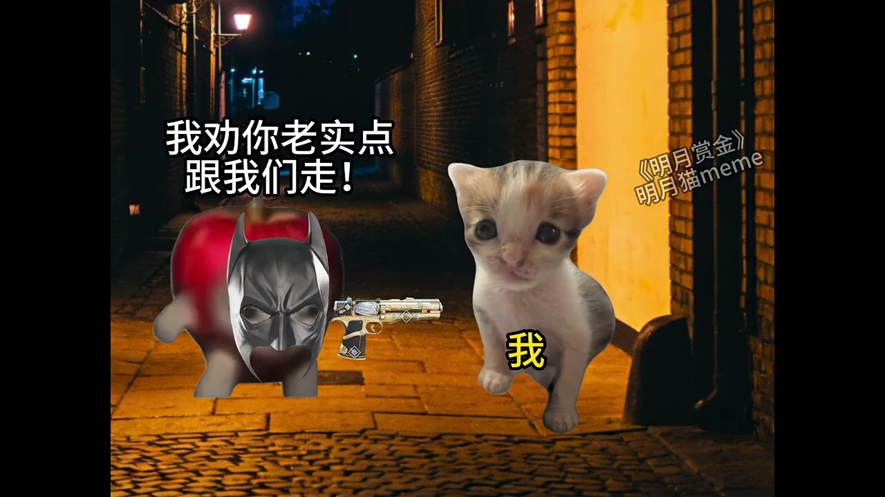 明月賞金1-6#貓#搞笑#貓meme# #熱門