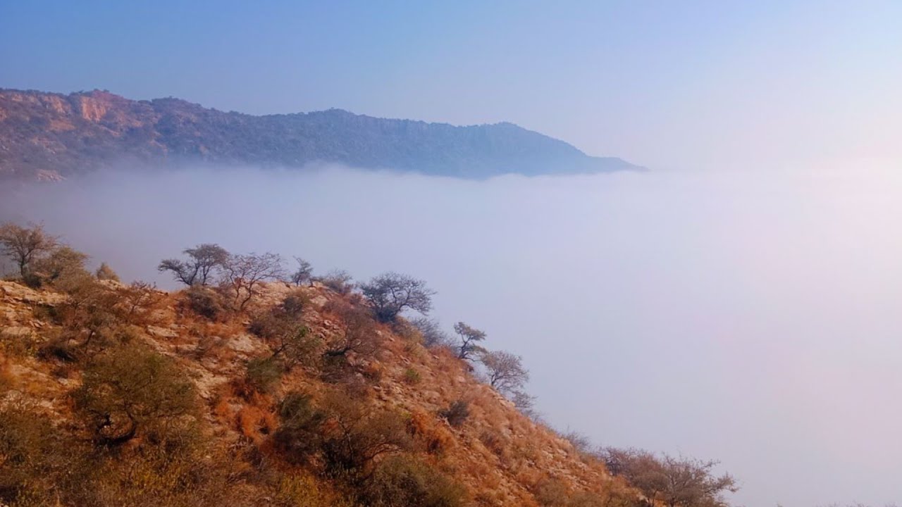 fog of  pakistan punjab view  today 2023