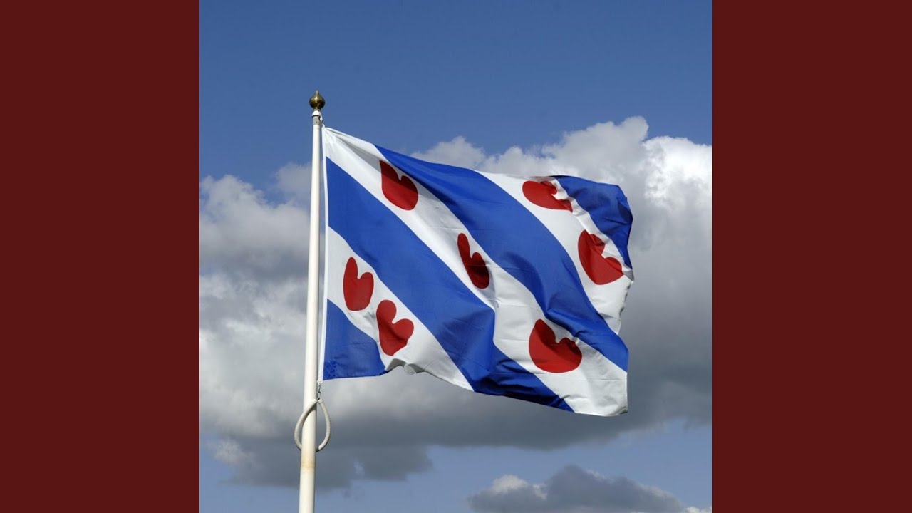 Arm, Dom En Gelukkig