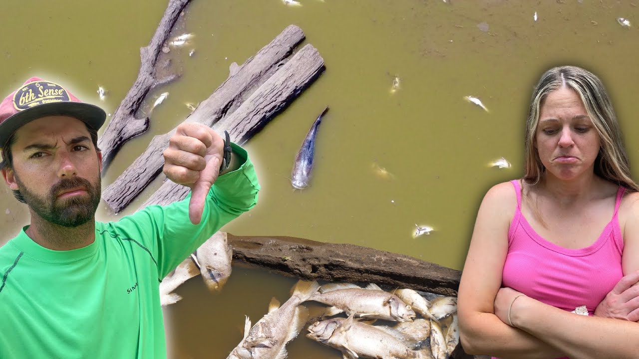 MASSIVE FISH are DYING in the DRAINING LAKE... The UGLY TRUTH! -- (Heartbreaking)