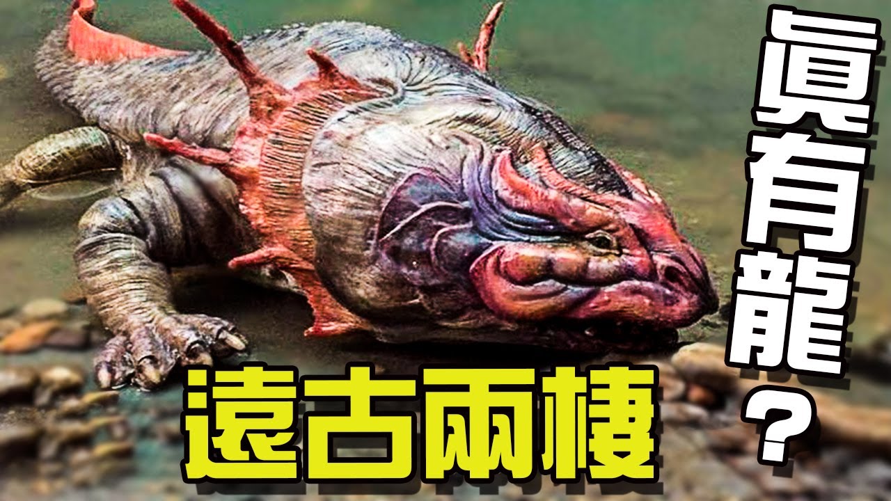 遠古兩棲動物：遠古求生遊戲最能茍的選手！盤點遠古十大兩棲巨獸丨動物之最09