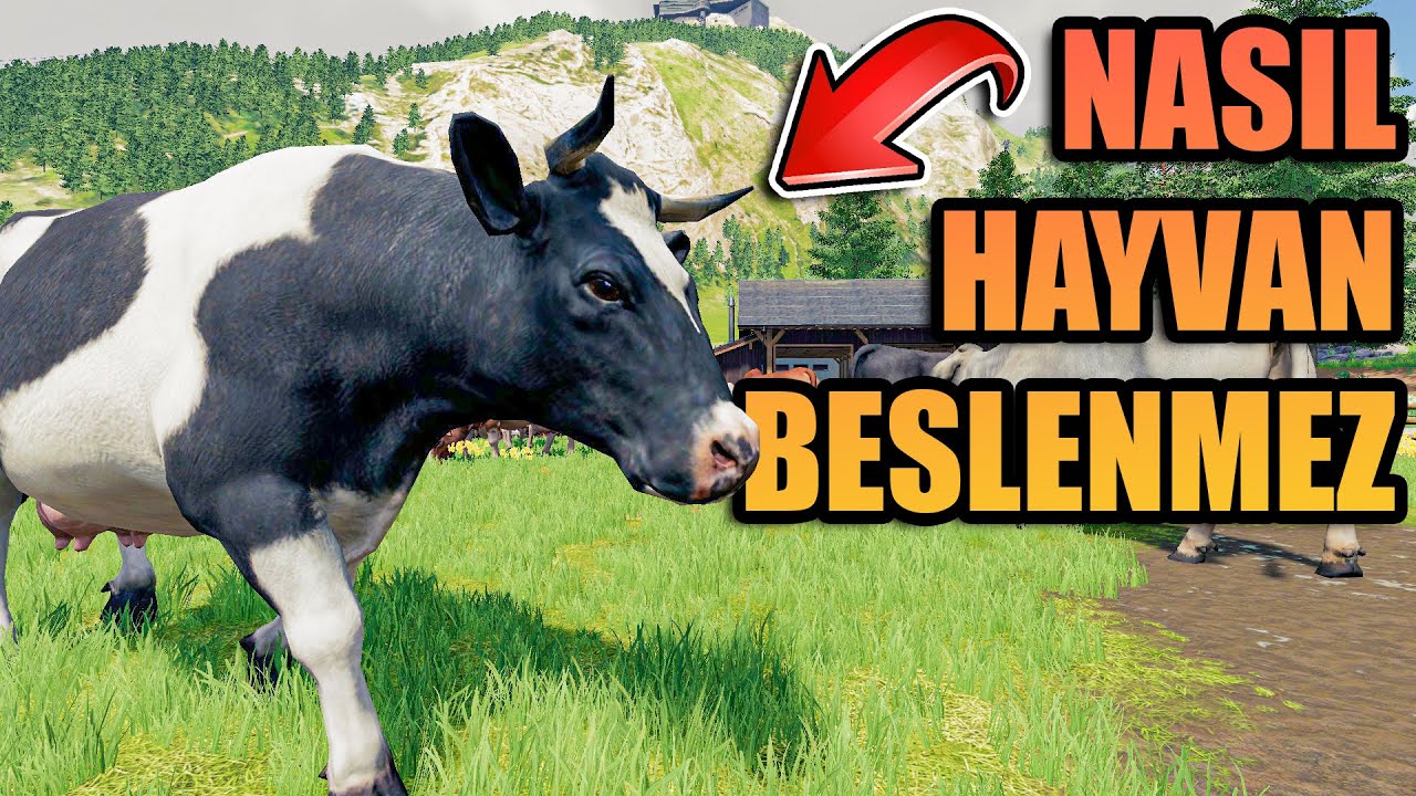 BİZDEN ÇİFTÇİ OLMAZ 🤣 // HAYVANLAR NASIL BESLENMEZ ??