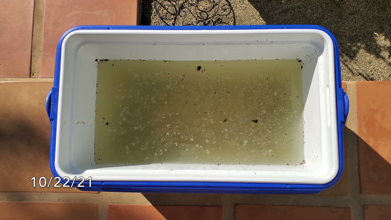 First attempt : JADAM microbial solution to improve soil