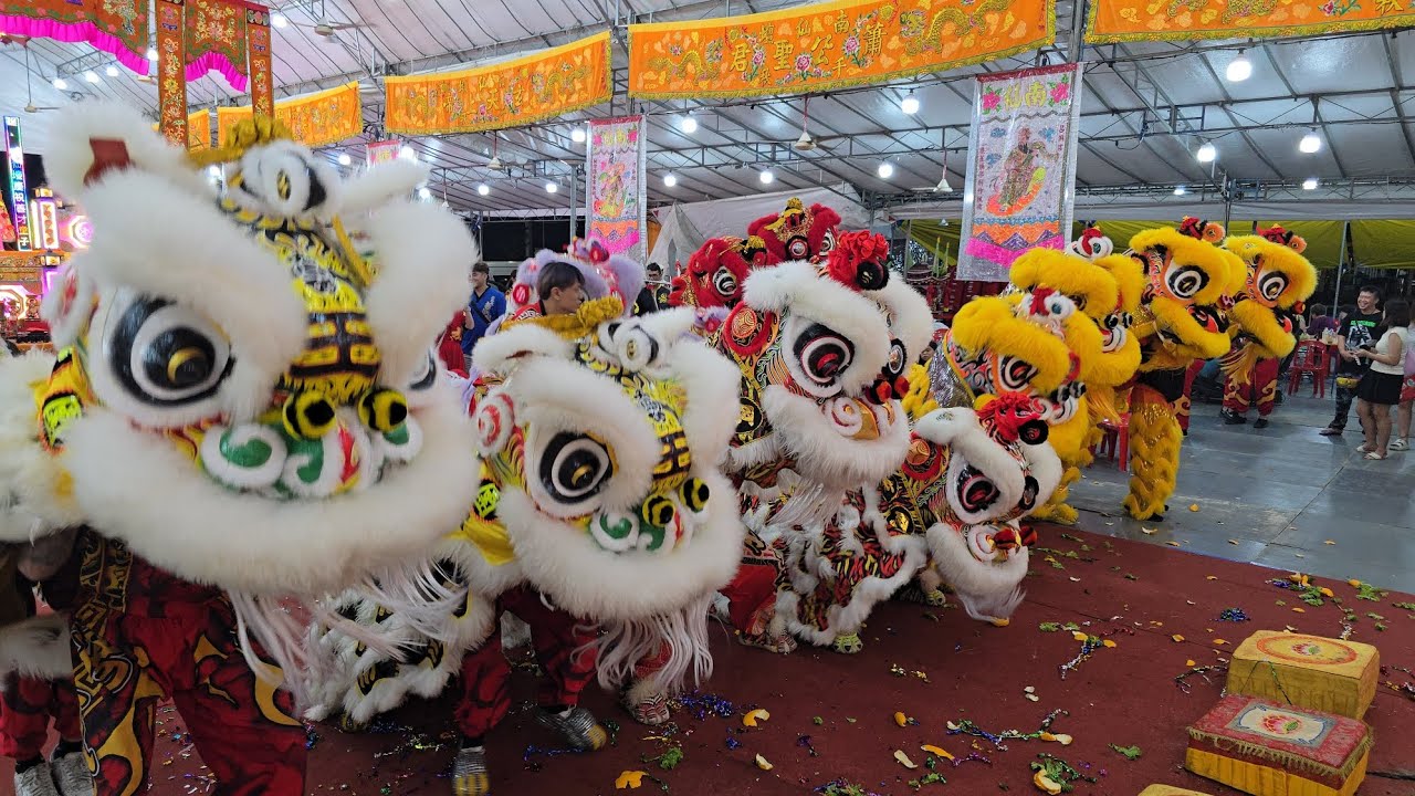 南仙壇多位舞獅隊伍采青祝壽表演 Nam Sieng Tua Temple Celebrations Lion Dance Performances 20/11/24