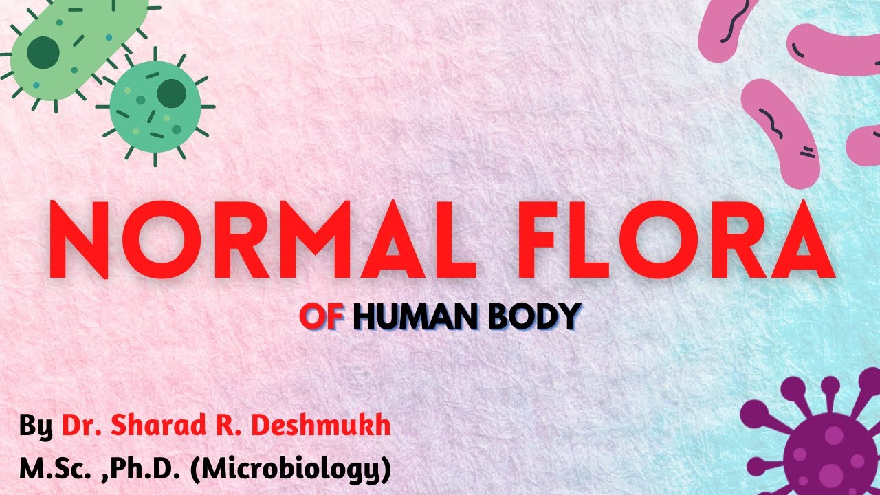 NORMAL FLORA I PART-1 I MICROBIOLOGY