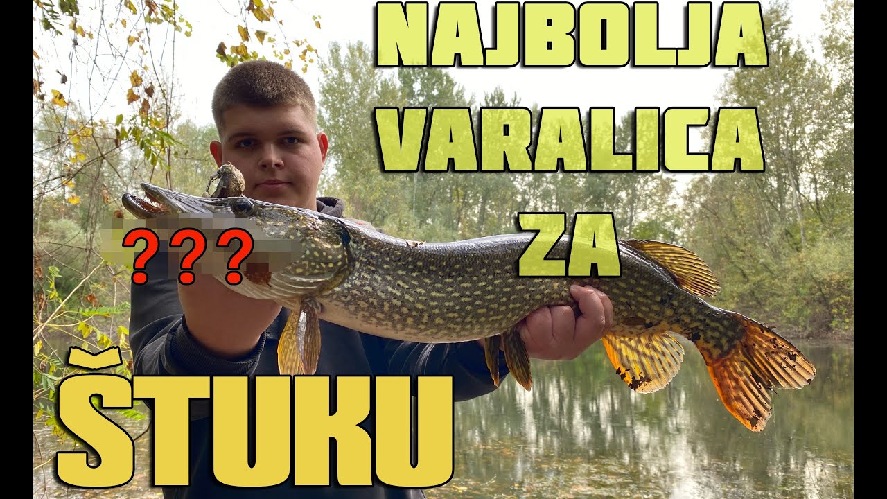 Varalice za štuku - naš izbor