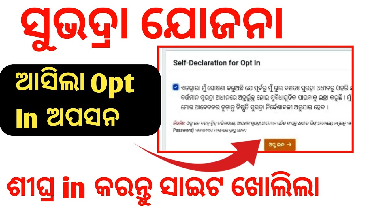 subhadra yojaan ଆସିଲା Opt in option ✅ how to opt in subhadra yojana | opt in kemiti kariba