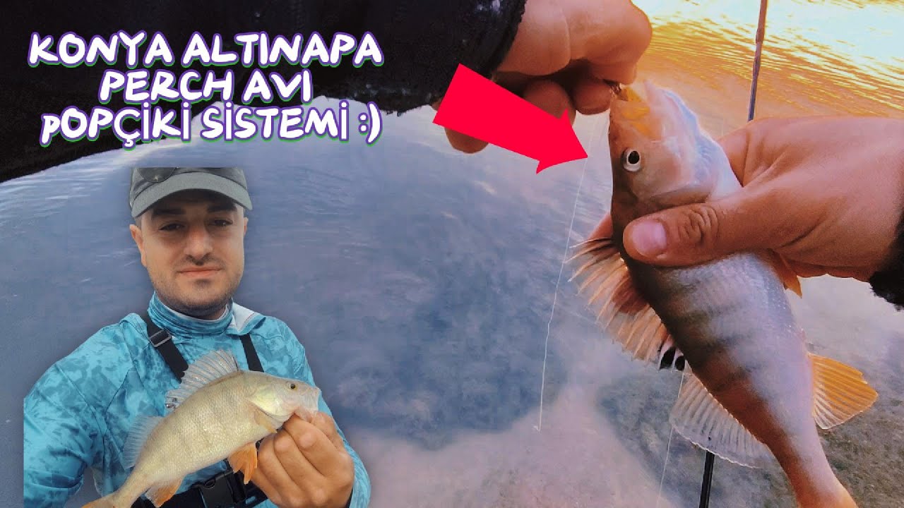 KONYA ALTINAPA PERCH AVI #5- DİPTE SİLİKON SEKTİRDİM POPÇİKİ SİSTEMİ :)