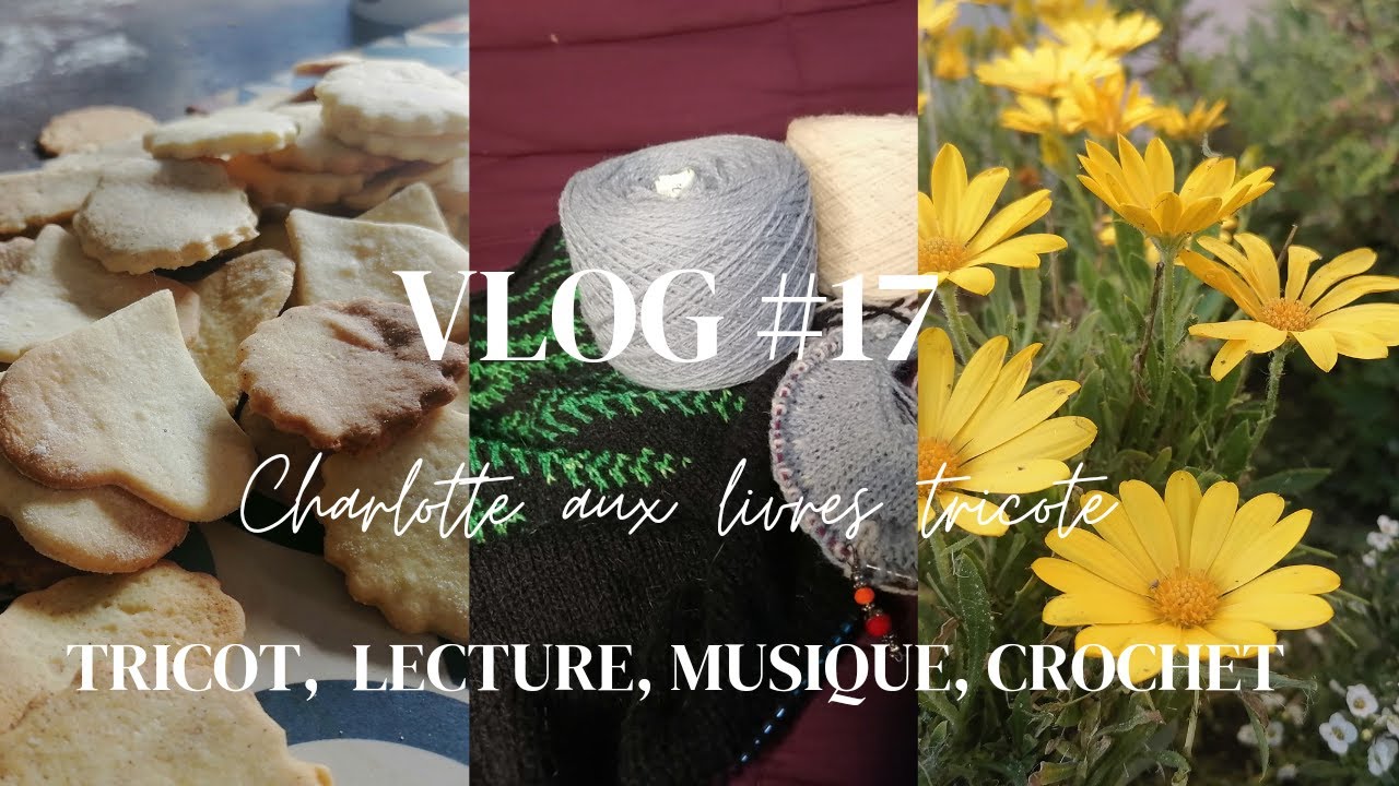 Vlog #17 ( lectures, ascenseur &eacute;motionnel musical, challenge livresque )