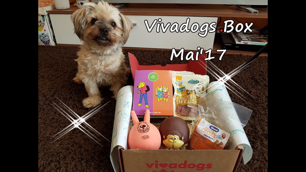 Vivadogs Box Mai'17 ! Mogli freut sich über neues Spielzeug !