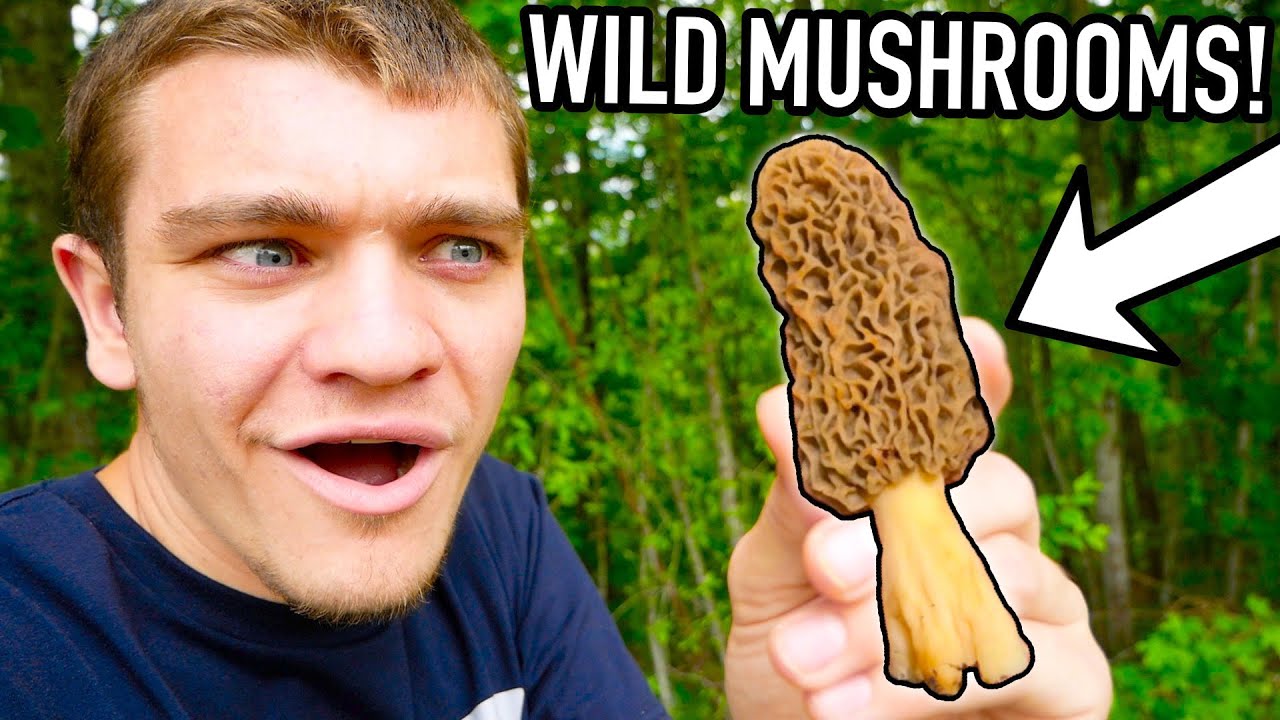 I Hunted Morel Mushrooms! (Hickory Chicken - Dry Land Fish)