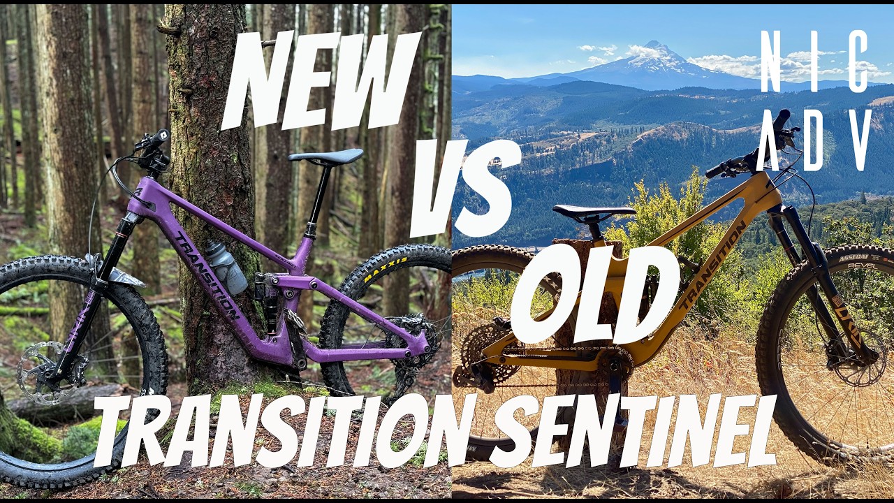 Transition Sentinel | New vs. Old Review and Comparison   4K