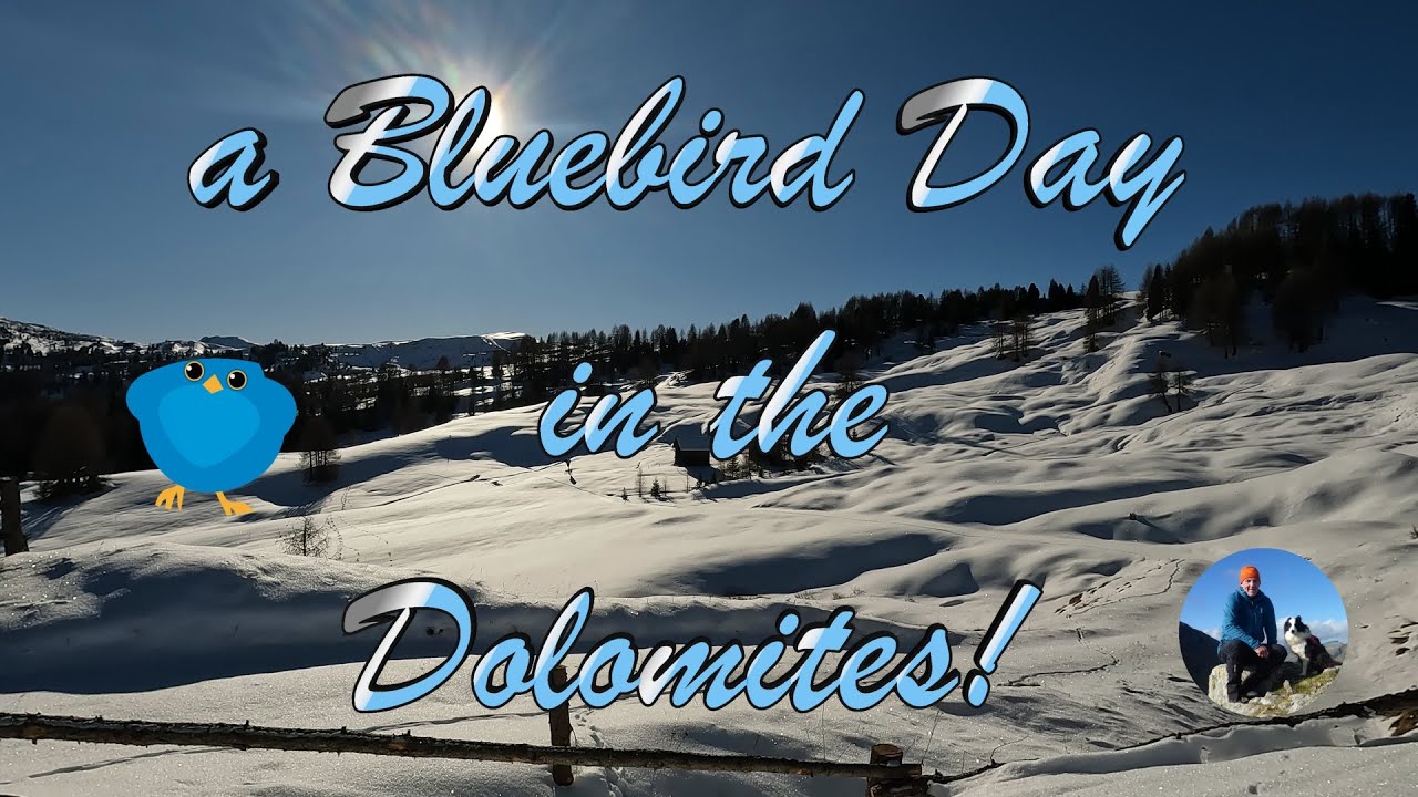 NOT a boring skiing video! 😜 Getting away from the crowds on snowshoes 😁👍