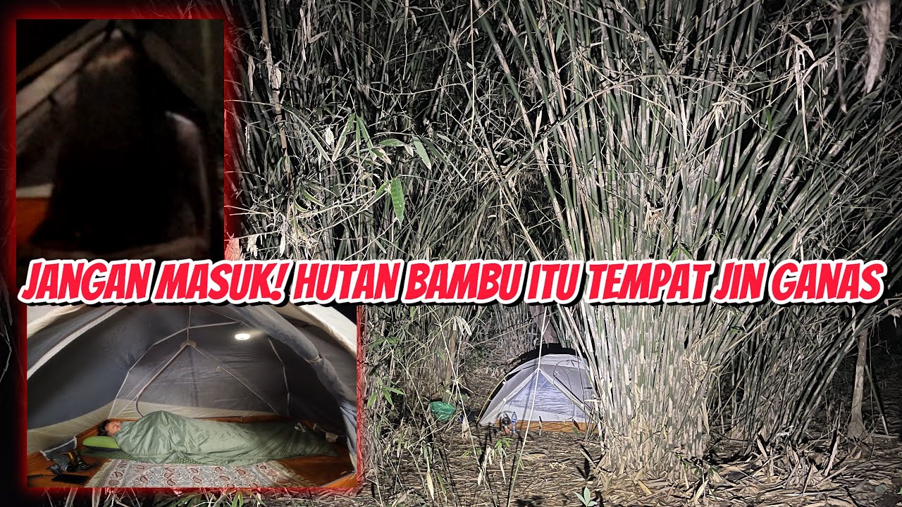 SOLO CAMPING~TERROR ANEH DIDALAM HUTAN BAMBU KALIMANTAN.