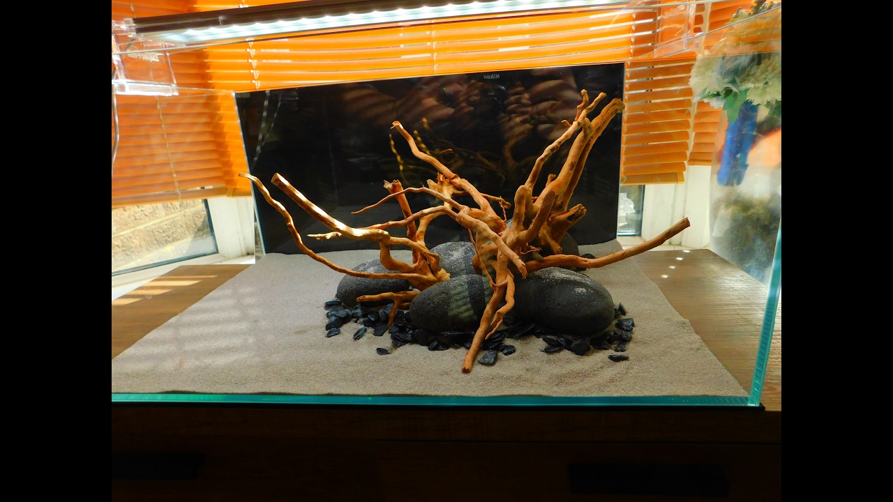 Aquacaping my Scaper 70 Part 1