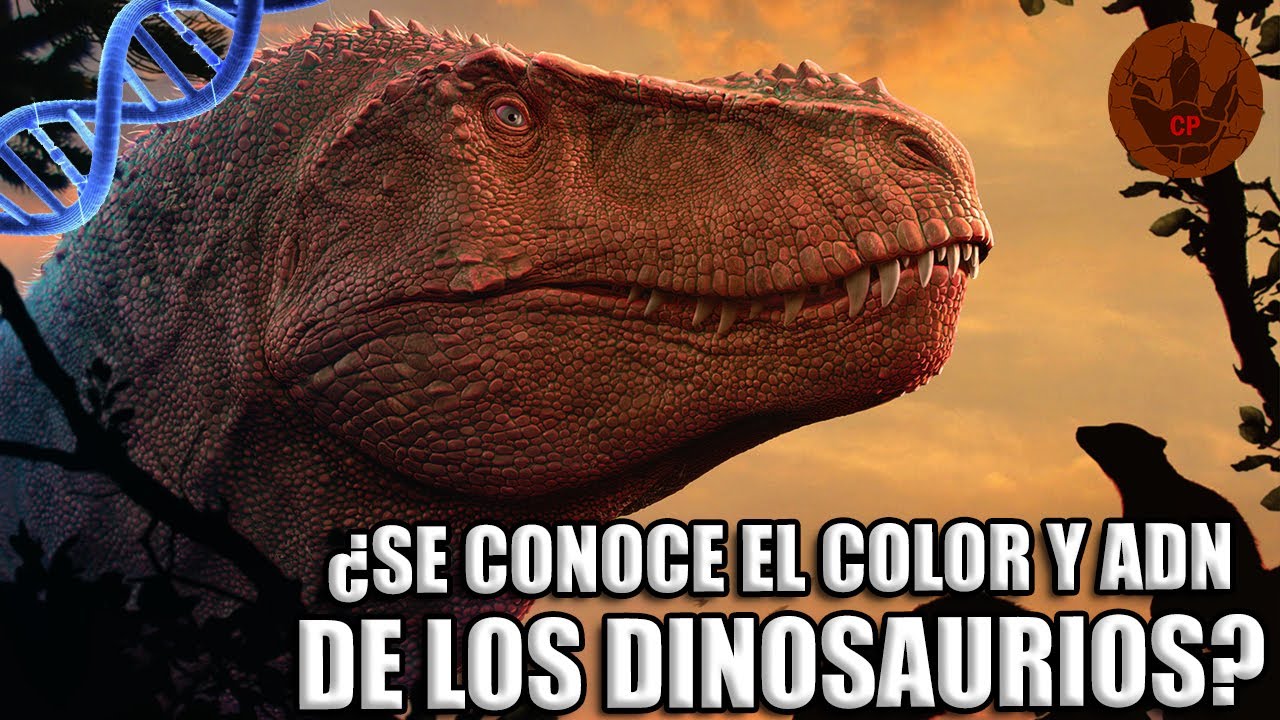¿Se conoce el COLOR y ADN de los DINOSAURIOS?