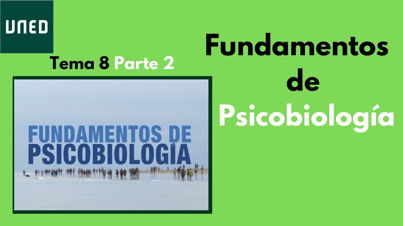 Tema 8: La médula espinal | Psicobiología | UNED