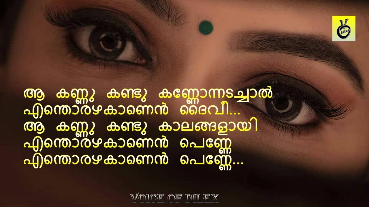 Aa Kannu kandu Kannonnadachal ആ കണ്ണു കണ്ടു കണ്ണോന്നടച്ചാൽ എന്തൊരഴകാണ#lyrics #lyricvideo #malayalam