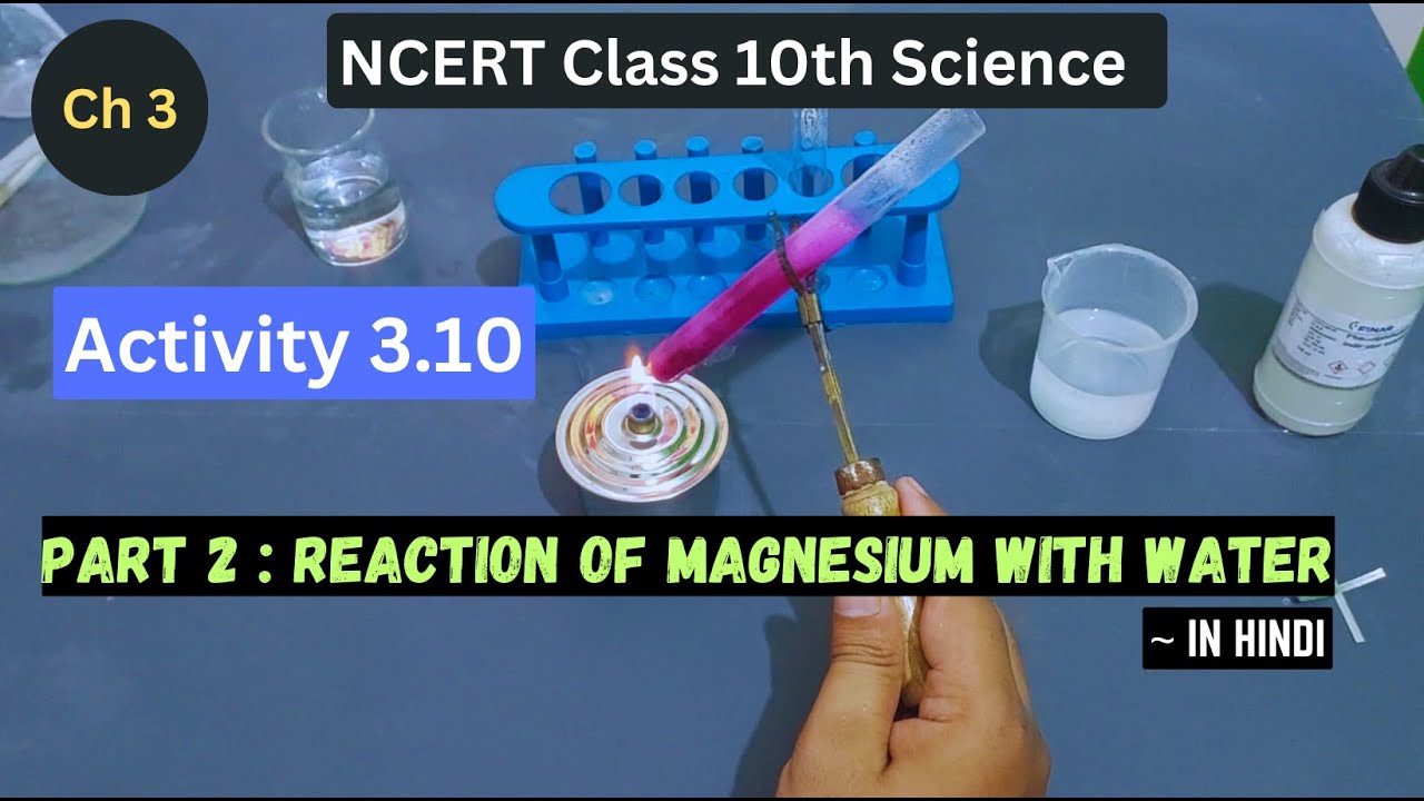 Activity 3.10 I Part 2 I Class 10 Science I Reaction Of Magnesium with Water