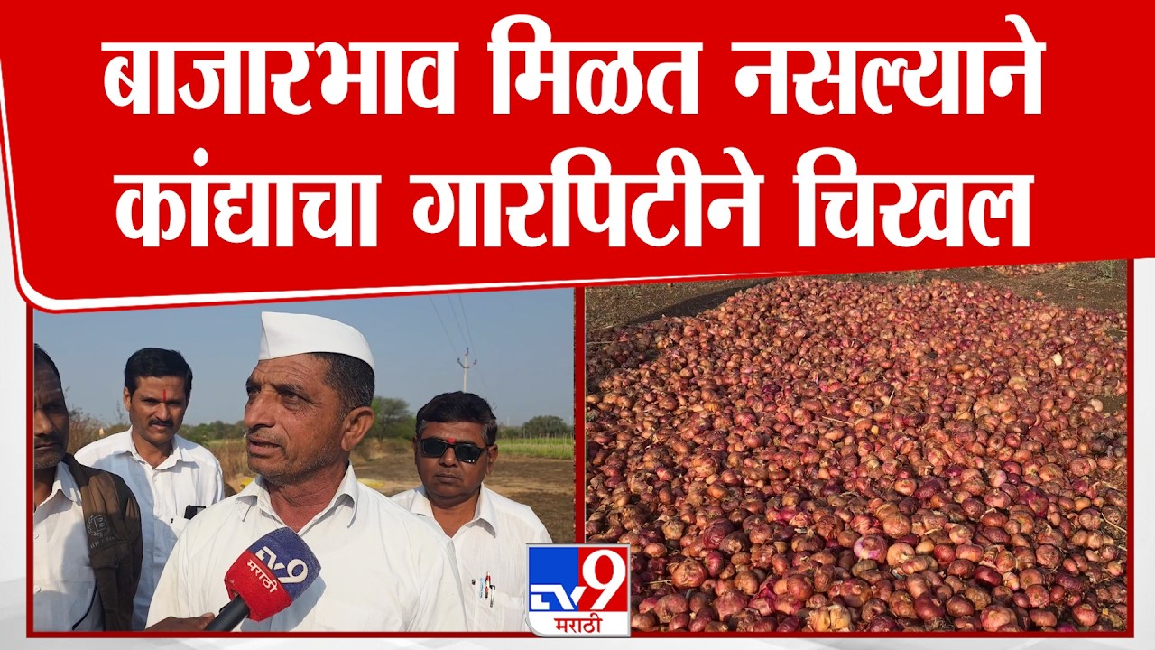 Dharashiv | बाजारभाव मिळत नसल्याने  कांद्याचा गारपिटीने चिखल