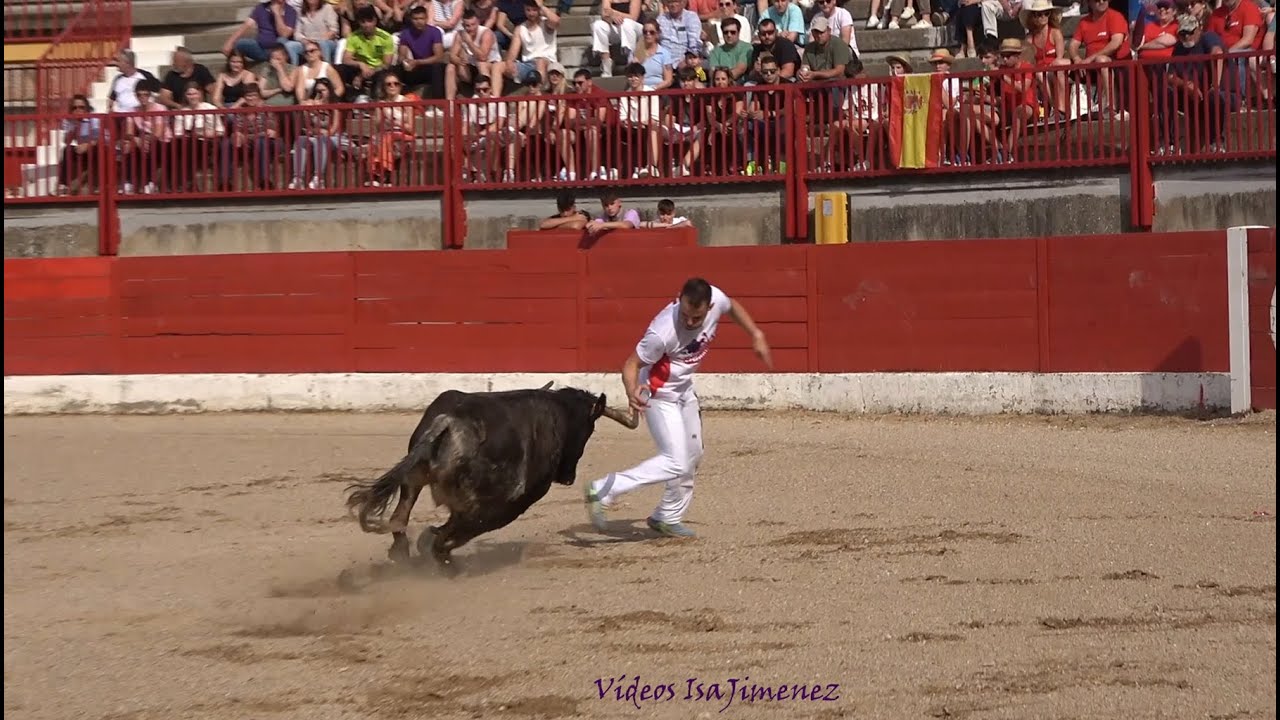 Pina de Ebro (Zaragoza) 12/05/2024 - I Encuentro de tauromaquias - Anillas - HD