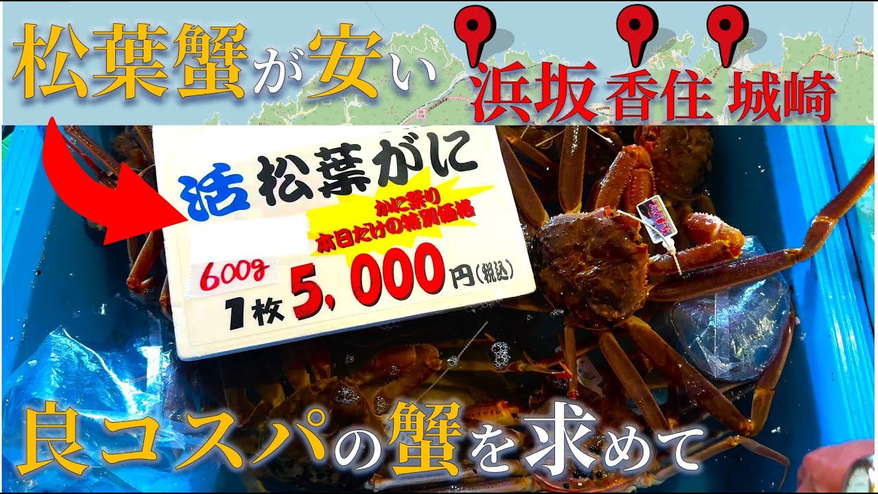 【蟹探し】兵庫で松葉蟹を買うなら何処がコスパ良い？｜蟹の水揚げ量が多い所を巡ってみた（浜坂漁港、香住西港、城崎）