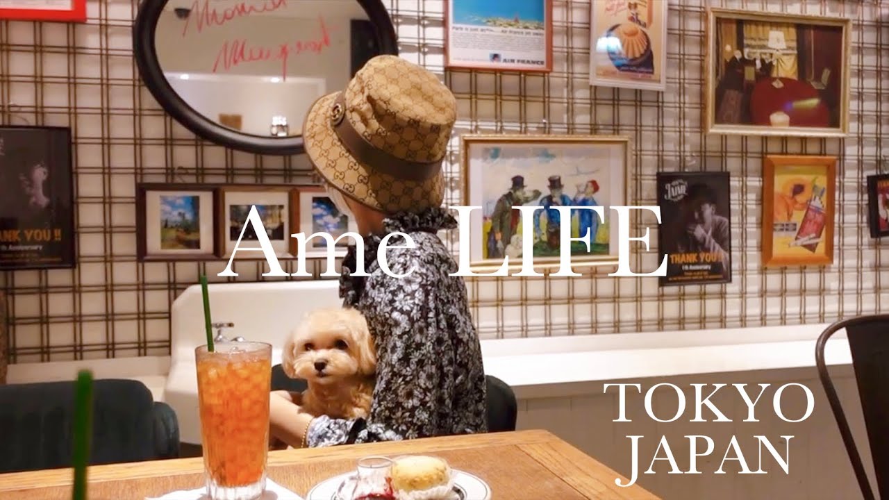 Видеоблог｜Праздничное утро｜Купленные товары｜HAUL｜Dog Cafe｜Япония｜Токио｜Содержимое сумки