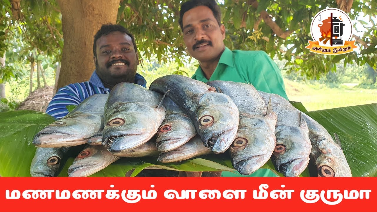 மணமணக்கும் வாளை மீன் குருமா | Vaalai Meen Kulambu | Andrum Indrum