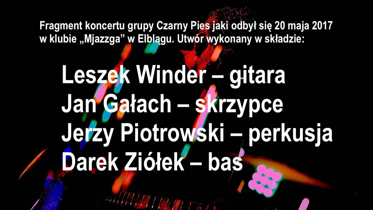 Czarny Pies w Elblągu