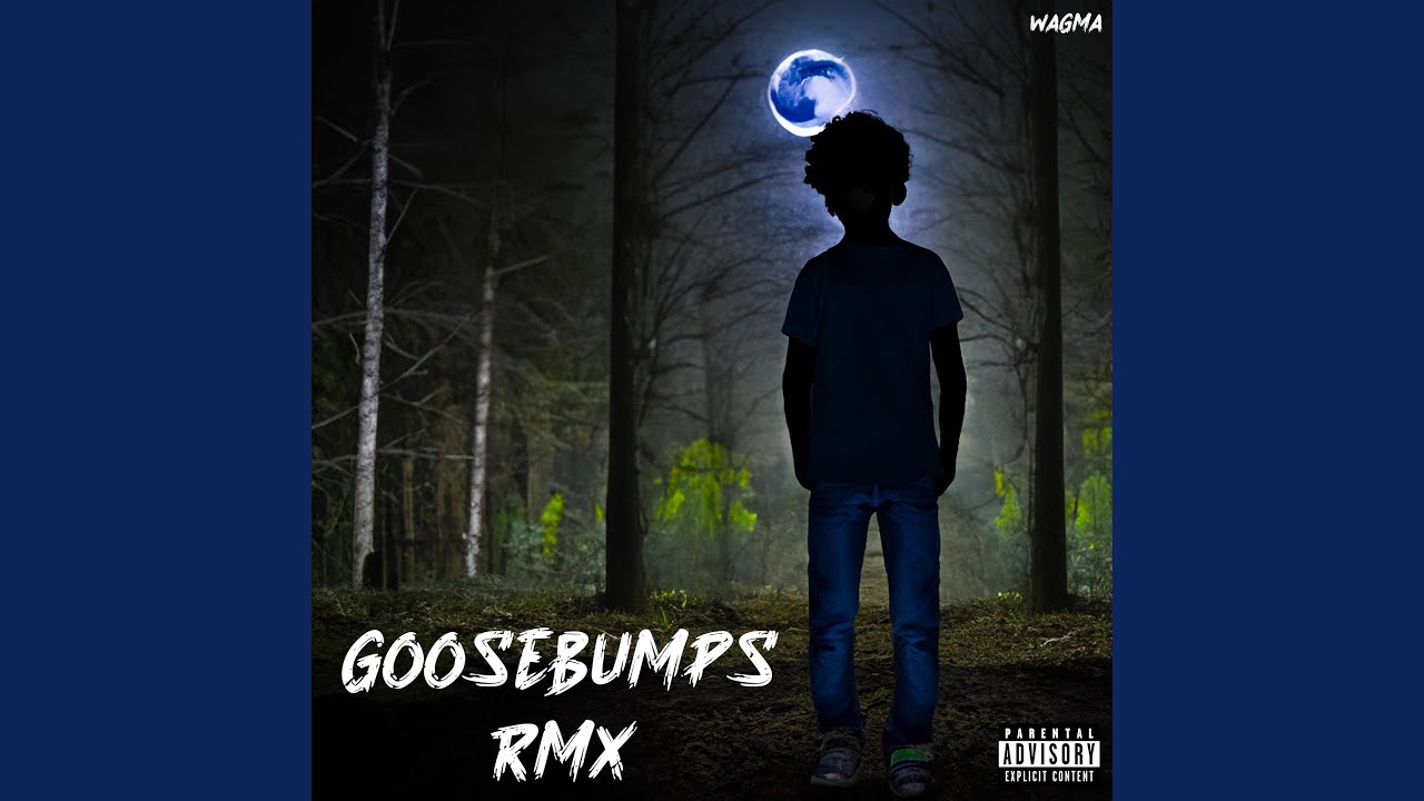 GOOSEBUMPS (Rmx)
