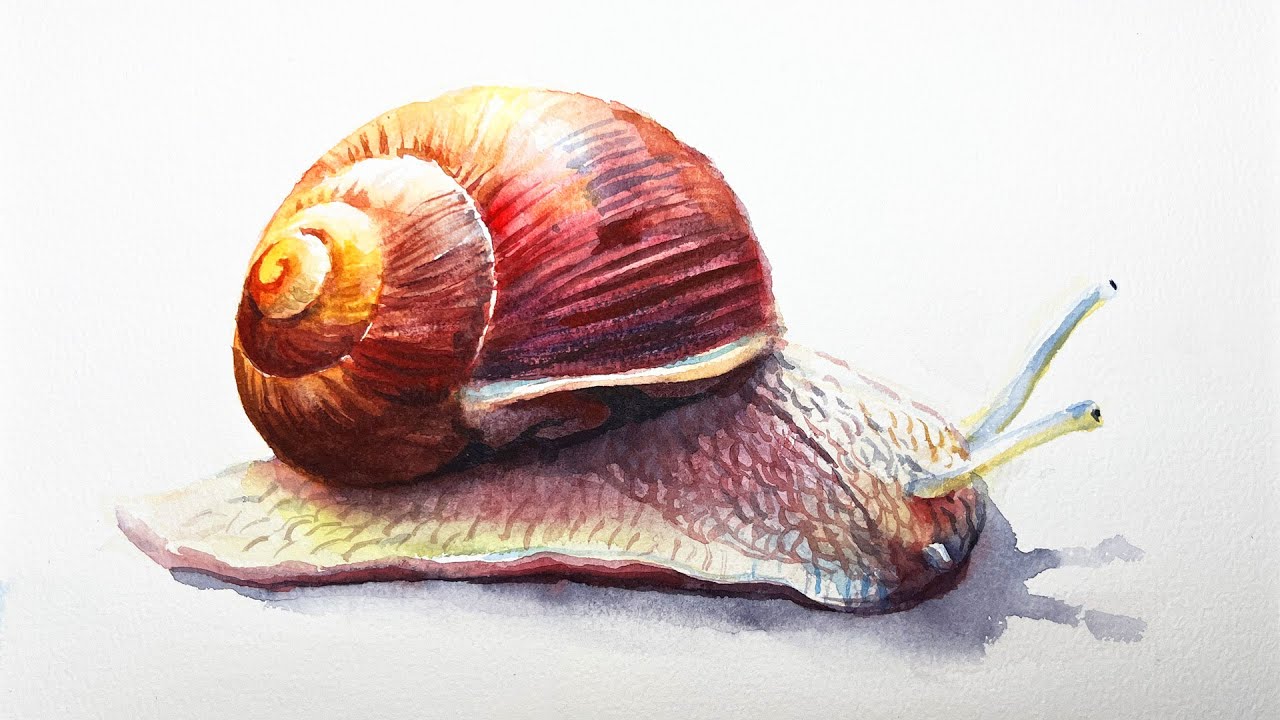 Watercolor painting of a snail (plus painting marathons)