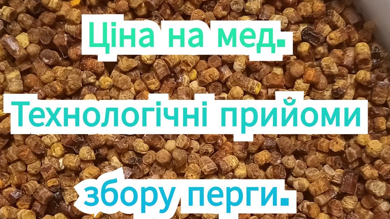 Цена на мед. Анонс исследований технологических приемов сбора перги. @