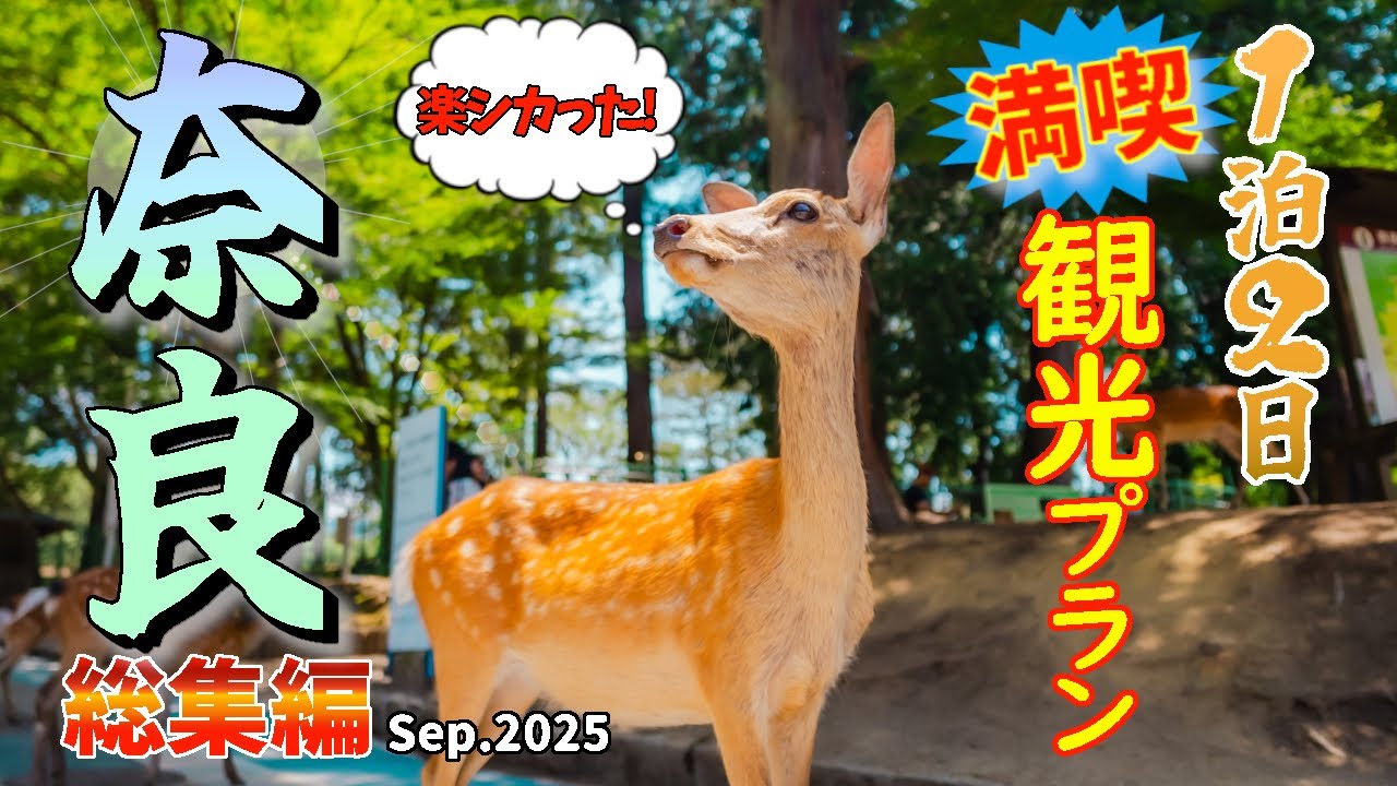 【奈良観光 総集編】奈良を旅する観光プラン!若草山を皮切りに、春日大社、東大寺二月堂、風情漂う裏参道を歩いて東大寺大仏殿へ。浮見堂やならまちにも行っています。又、穴場(?)の観光地、生駒も訪れました。