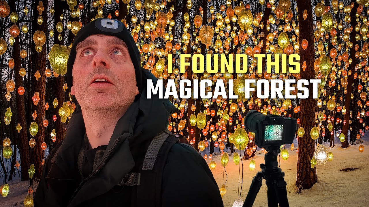 Photographing a Magical Forest in Winter | Oslo