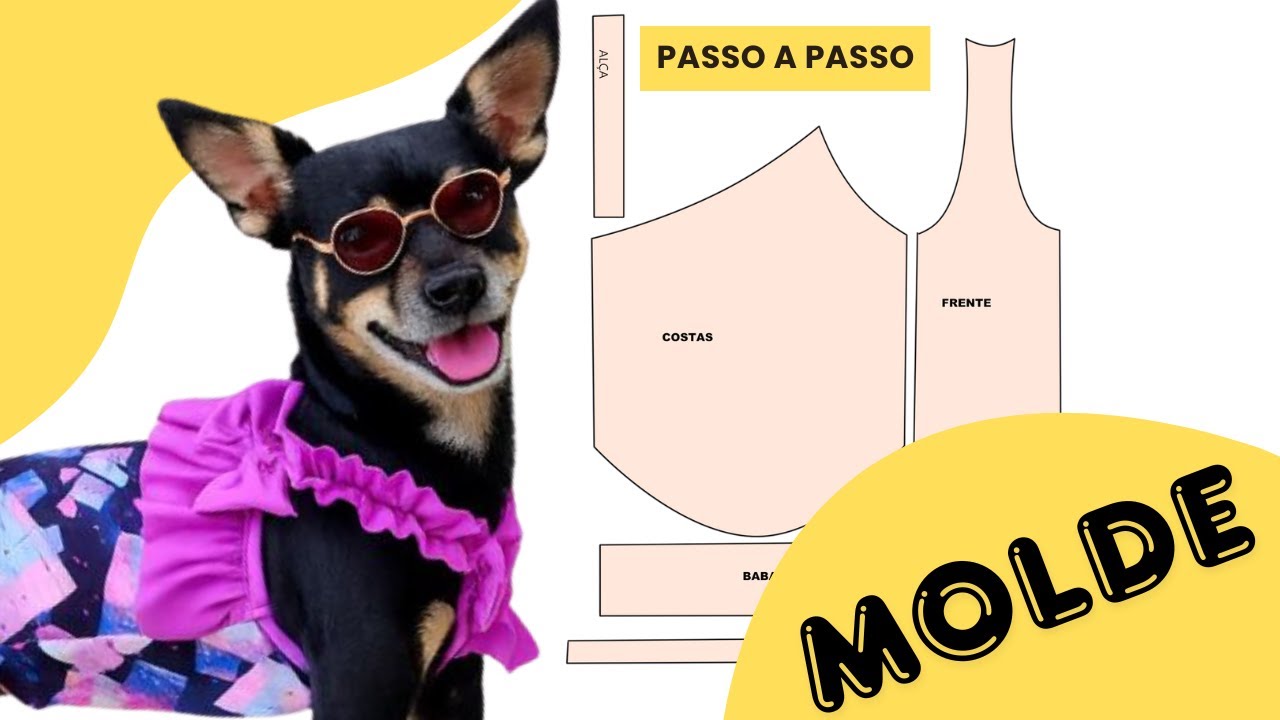 Molde Blusa para Roupas Pet 🐾 | Passo a Passo Simples e Prático!