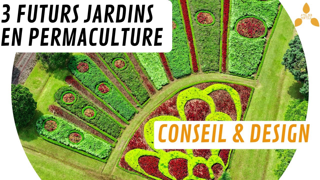 🌼3 futurs jardins en permaculture : aménagements et réflexions techniques 🌳