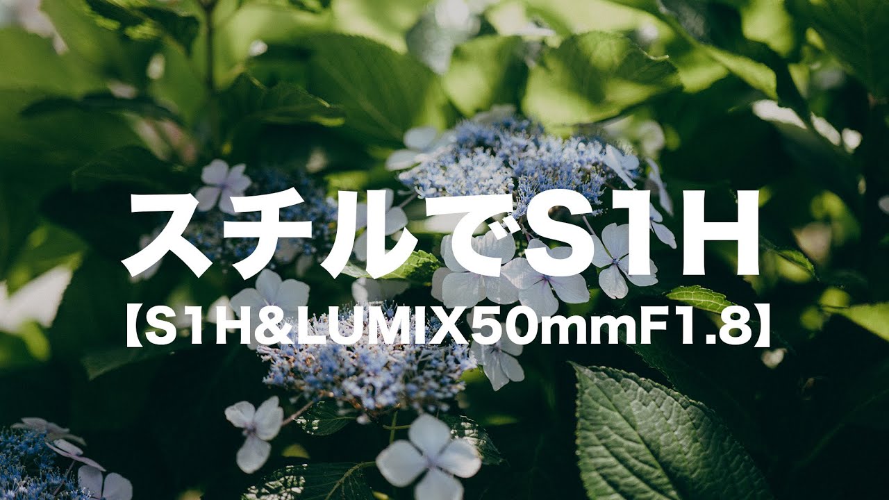 S1Hをスチル機として使うPOV動画