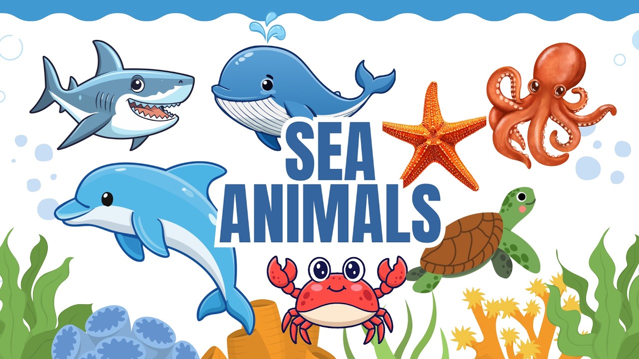 Sea Animals for Kids 🐠 | Ocean Animal Sounds
